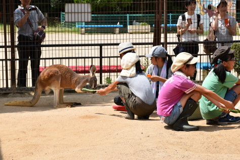 秋の動物園まつりのご紹介・11/3~11/4(祝・日)_a0116430_11075511.jpg