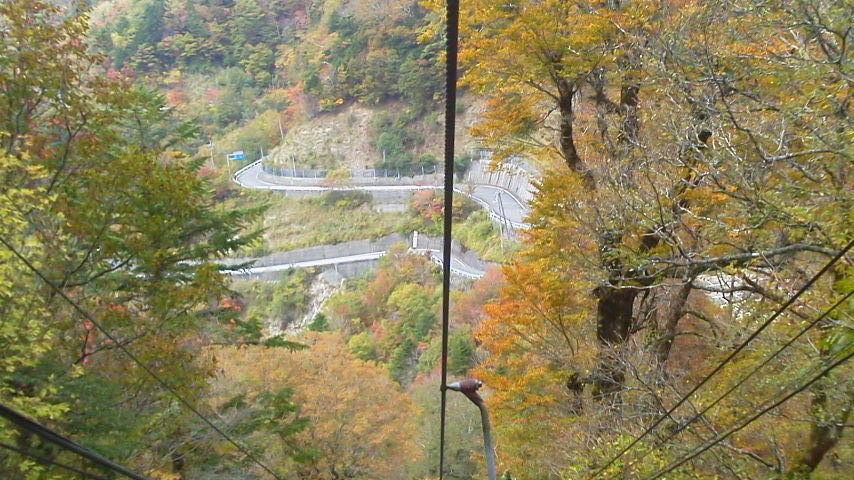 c0089831_11353990.jpg