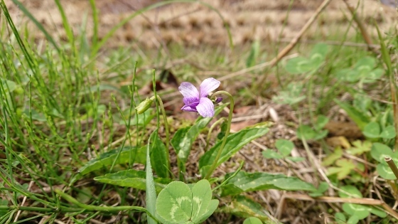 f0118332_23483225.jpg