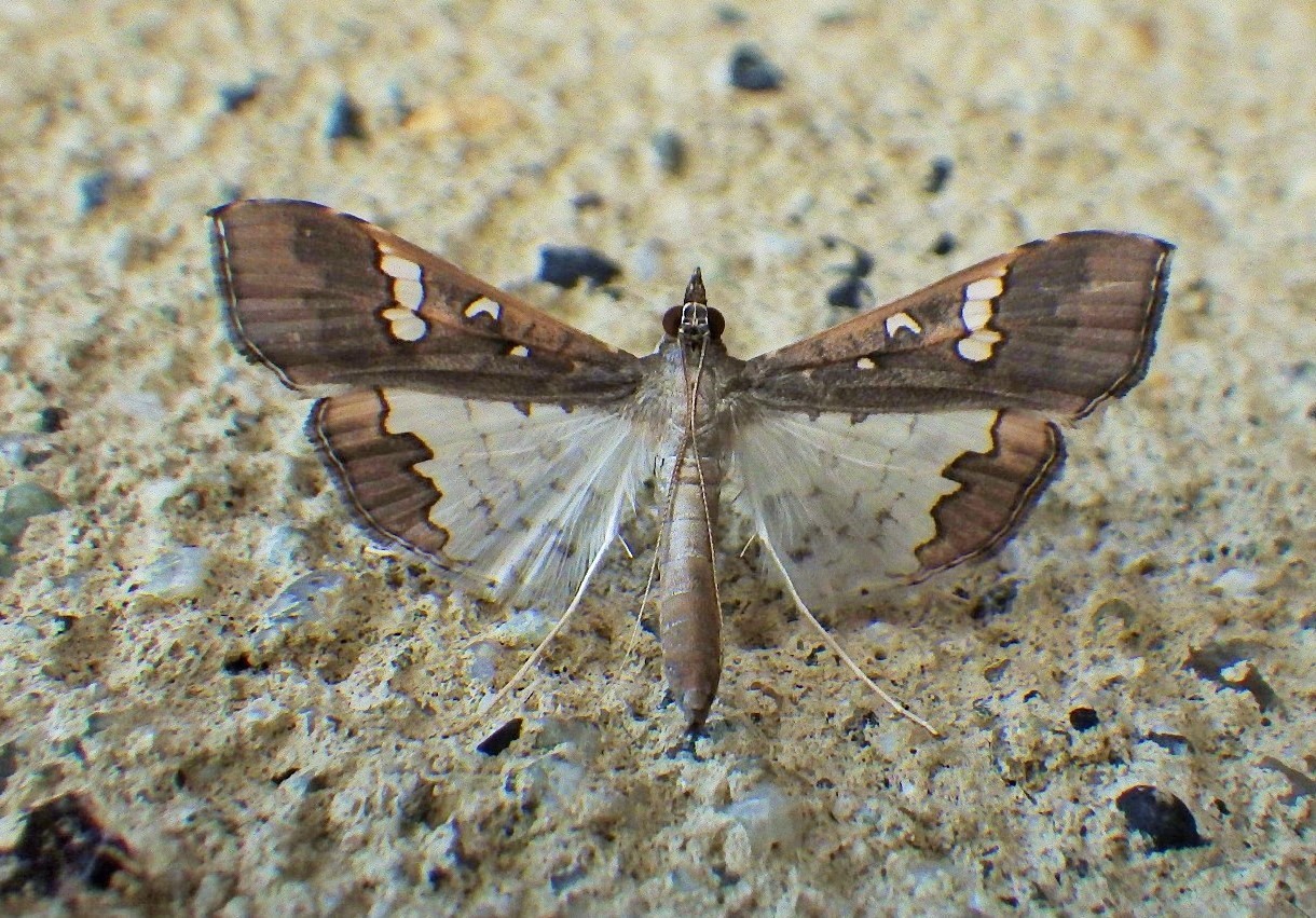 f0118332_23505096.jpg