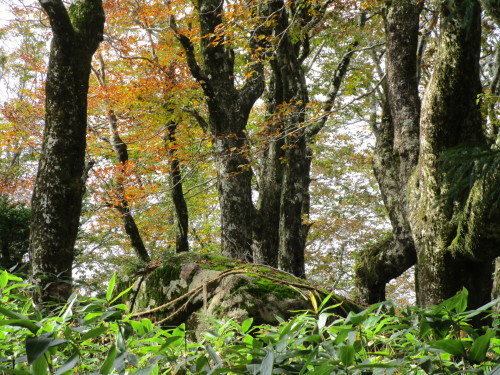 a0345833_22174068.jpg