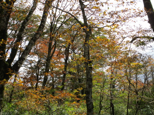 a0345833_22261440.jpg