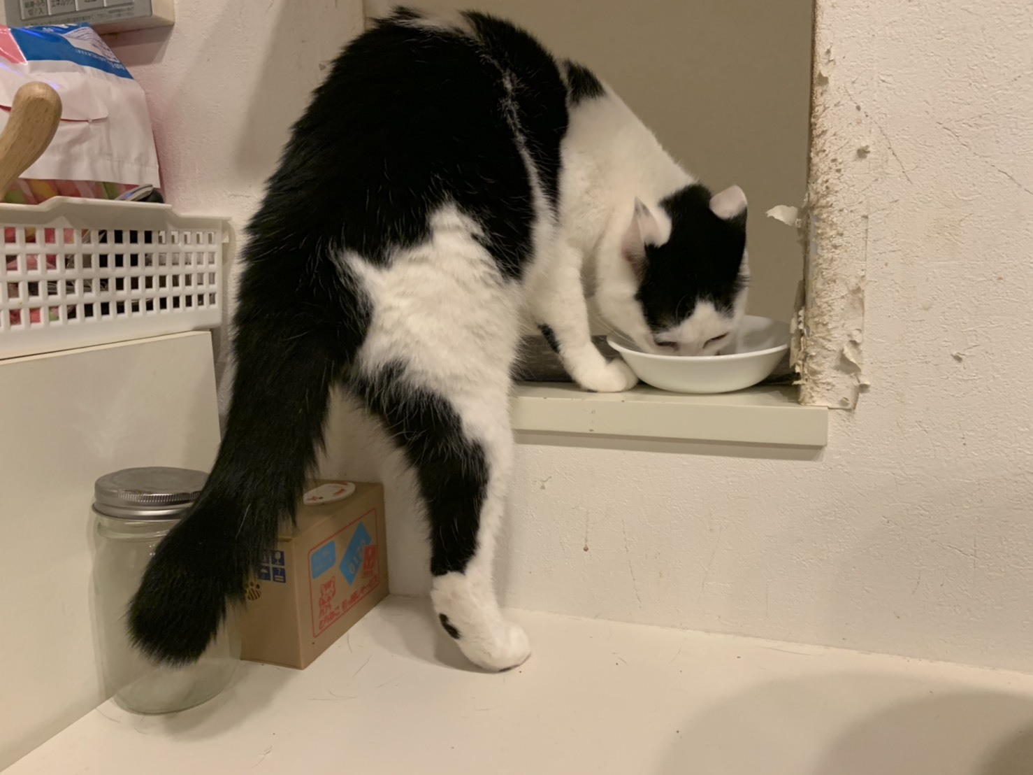 c0342535_22133815.jpeg