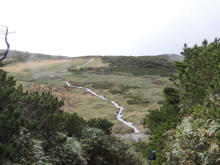 a0156636_22304152.jpeg