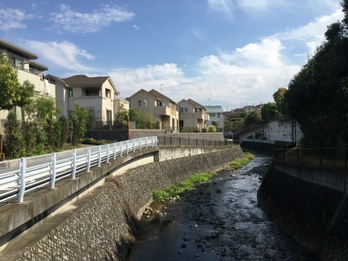 b0330040_22133310.jpeg