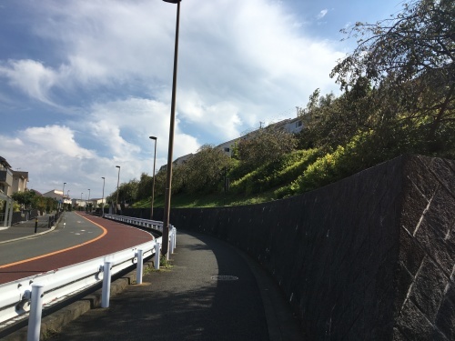 b0330040_22162525.jpeg