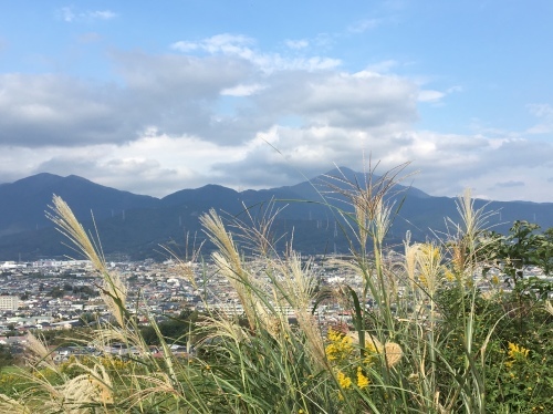 b0330040_22262753.jpeg
