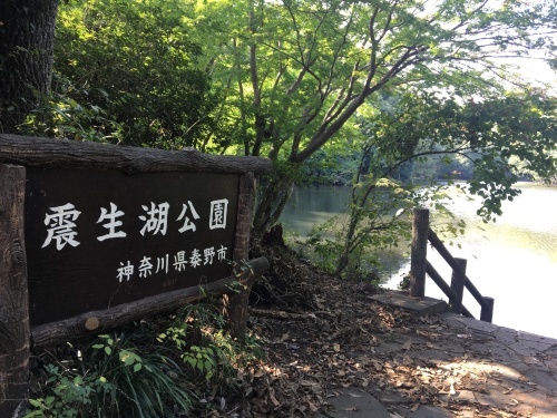 b0330040_22324603.jpeg