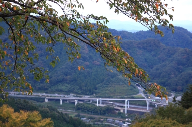d0132743_17134940.jpg