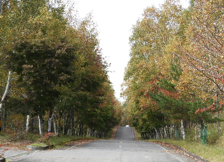 e0172950_21101872.jpg
