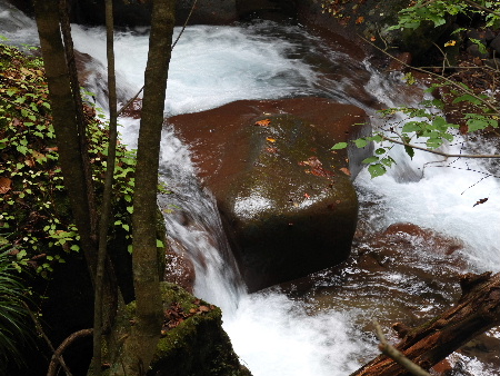 e0172950_2112068.jpg
