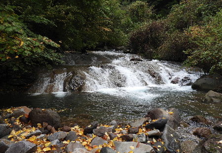e0172950_2115271.jpg