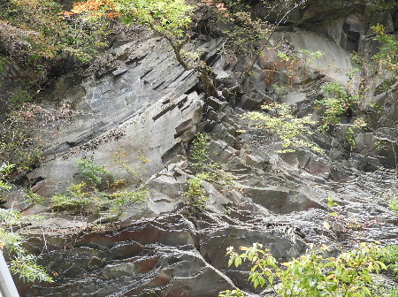 e0172950_21155625.jpg