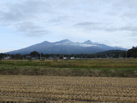 e0172950_2192879.jpg