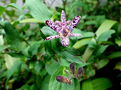 e0012055_23550119.jpg