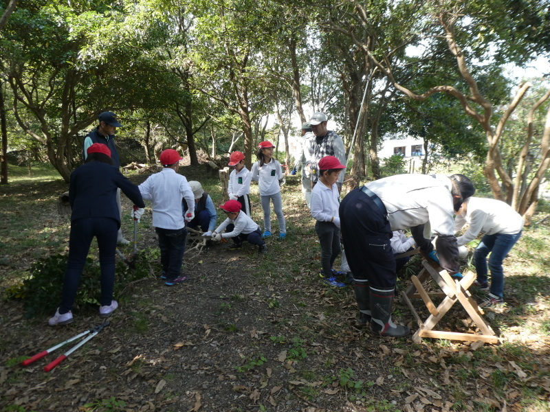 鳴滝小学校２年生遠足のサポート・・・うみべの森_c0108460_17223439.jpg