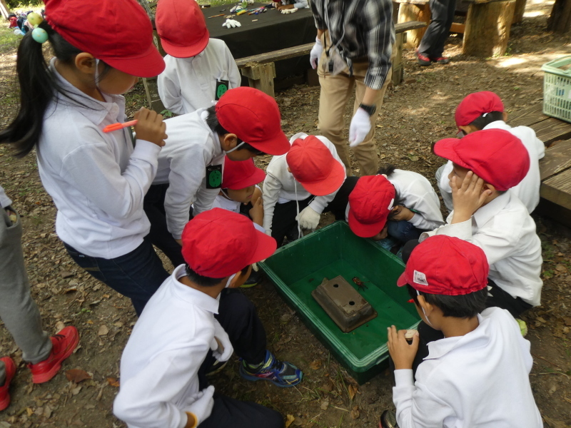 鳴滝小学校２年生遠足のサポート・・・うみべの森_c0108460_17240020.jpg