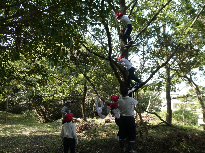 鳴滝小学校２年生遠足のサポート・・・うみべの森_c0108460_17291181.jpg