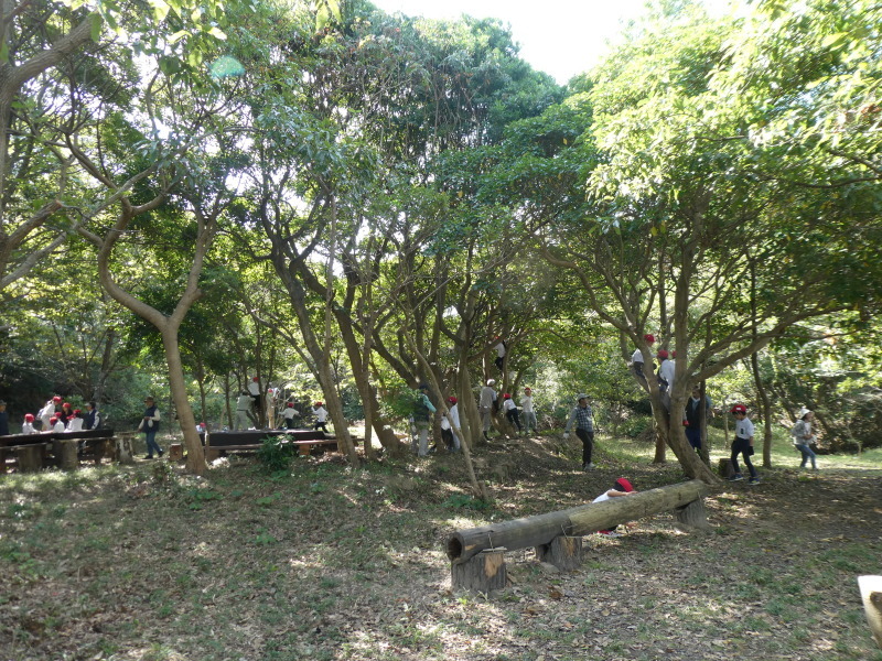 鳴滝小学校2年生遠足のサポート・・・うみべの森_c0108460_17291275.jpg