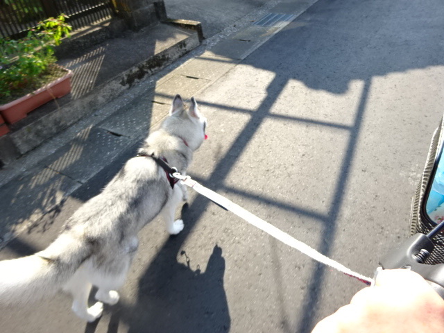 a0241761_15270231.jpeg