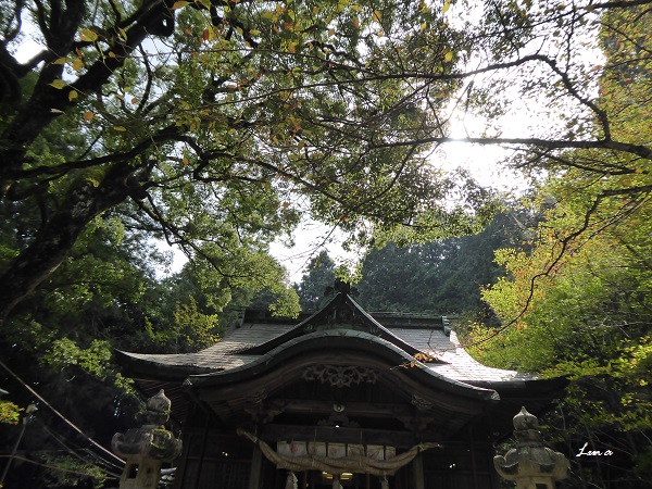c0222861_20315160.jpg