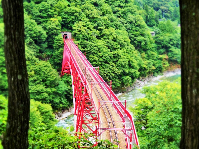 e0339064_11521328.jpg