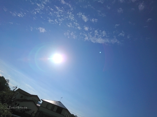 d0362666_16153920.jpg