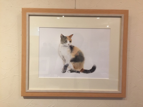教室展示 4_f0176370_08414642.jpg