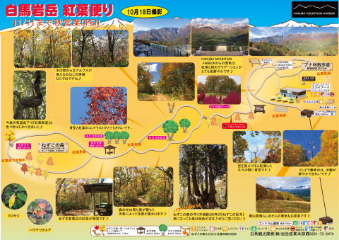 白馬岩岳_b0085672_23365422.jpg