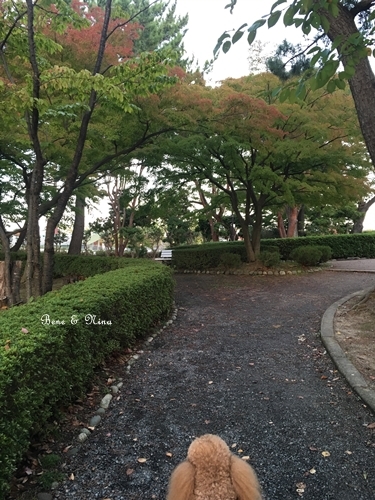 c0283778_16583890.jpg