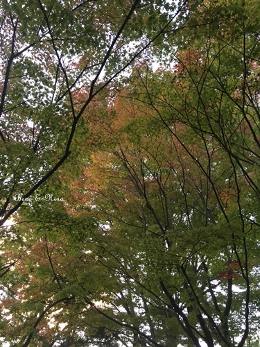 c0283778_16590070.jpg