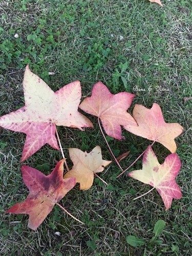 c0283778_17035653.jpg