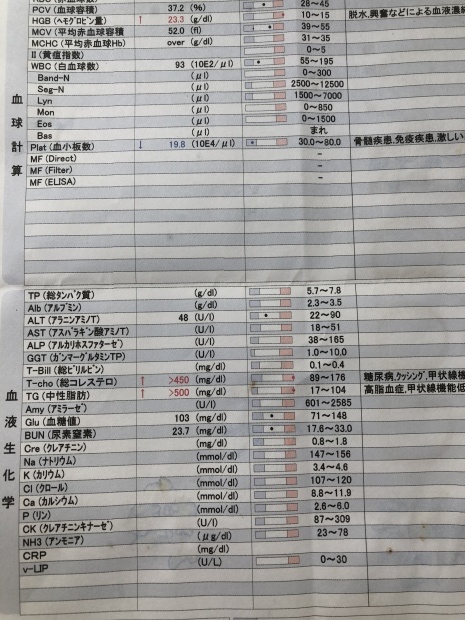 b0377882_14531615.jpeg