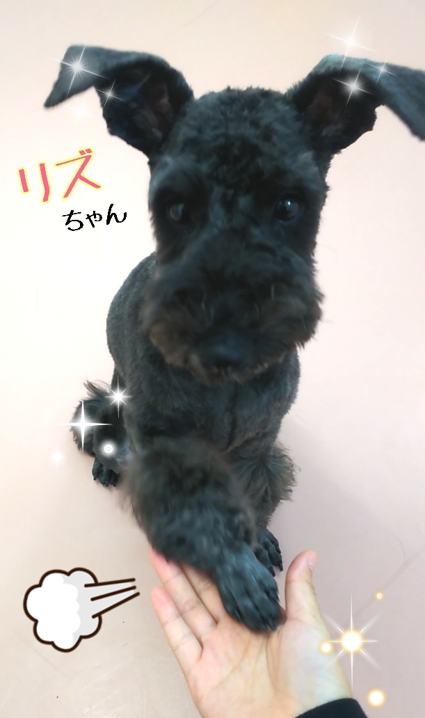 トレーニングブログ_f0357682_22552539.jpg