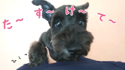 トレーニングブログ_f0357682_22574681.jpg
