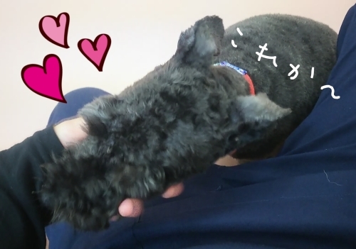 トレーニングブログ_f0357682_23042465.jpg