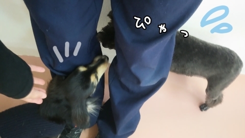 トレーニングブログ_f0357682_23073371.jpg