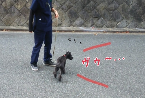 トレーニングブログ_f0357682_23164066.jpg