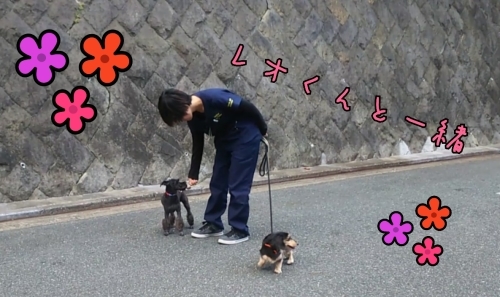 トレーニングブログ_f0357682_23220868.jpg