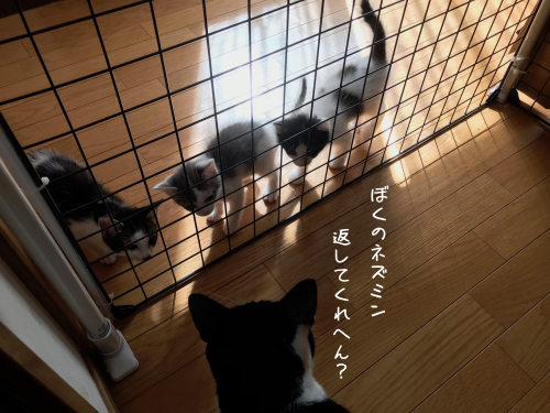 a0216583_20000897.png