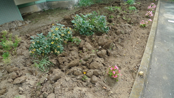 c0212083_15021500.jpg
