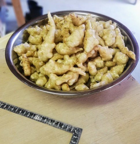タタラ作業と武雄温泉_d0195183_20584047.jpg