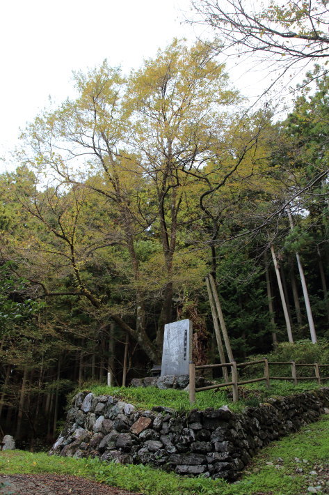 c0358784_23355018.jpg