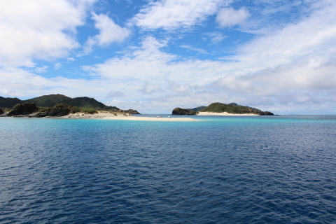 沖縄～阿嘉島＆座間味島への旅②♪～≪座間味島編≫_a0195987_14294570.jpeg