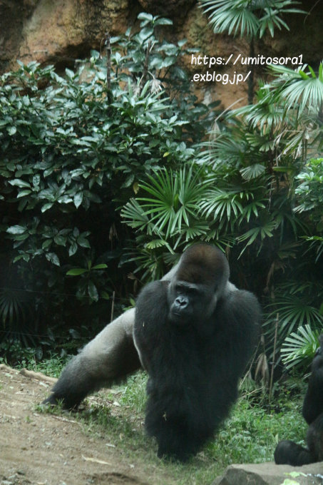b0324291_00591048.jpg