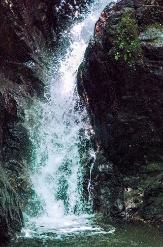 e0176993_10155067.jpg