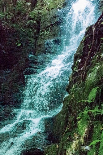 e0176993_10155111.jpg