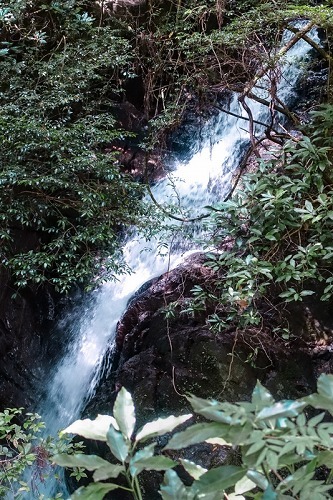 e0176993_10155157.jpg