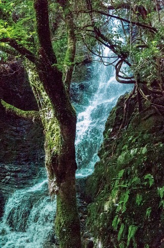 e0176993_10155158.jpg
