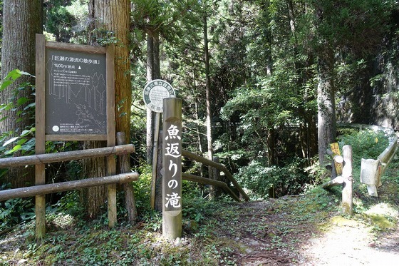 e0176993_10155172.jpg